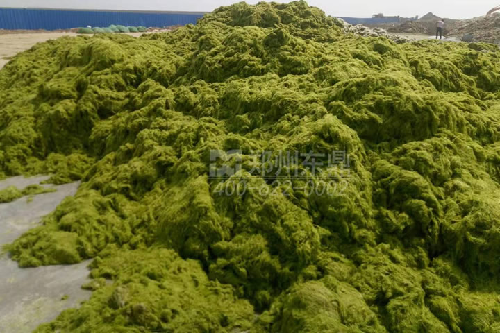 牧草烘干機(jī)如何科學(xué)選型？牧草烘干過(guò)程中營(yíng)養(yǎng)成分會(huì)流失嗎