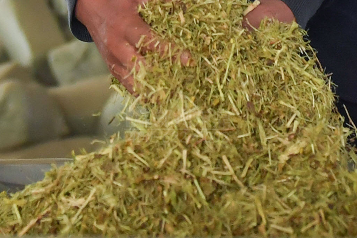 生物質(zhì)烘干機廠家鄭州東鼎干燥開發(fā)了大型檸條烘干機成套設(shè)備，實現(xiàn)了檸條資源規(guī)模化利用之路。